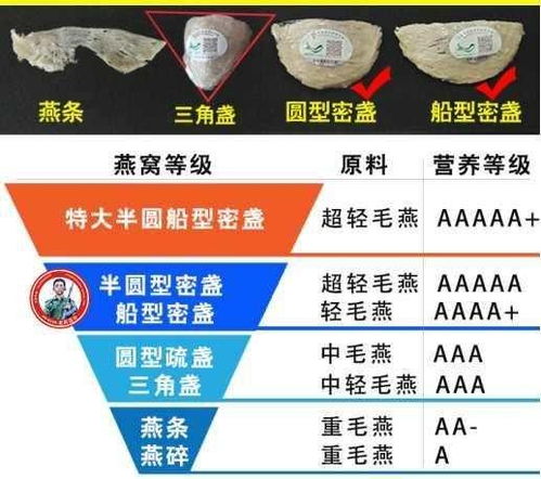 印尼燕窝等级划分及选购指南：全面解析各等级燕窝特点与鉴别方法