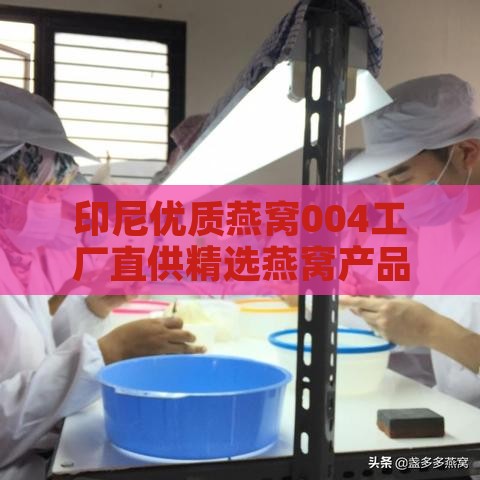 印尼优质燕窝004工厂直供精选燕窝产品