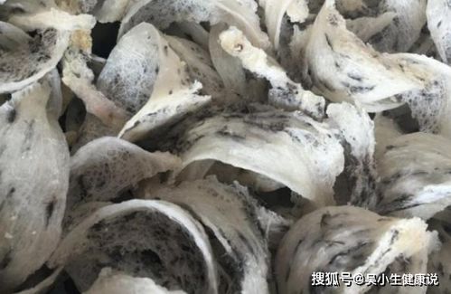 燕窝质量挑选标准是什么样的：全面解析挑选优质燕窝的关键要点