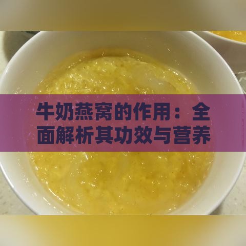 牛奶燕窝的作用：全面解析其功效与营养价值