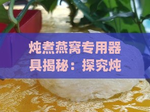 炖煮燕窝专用器具揭秘：探究炖燕窝的理想容器