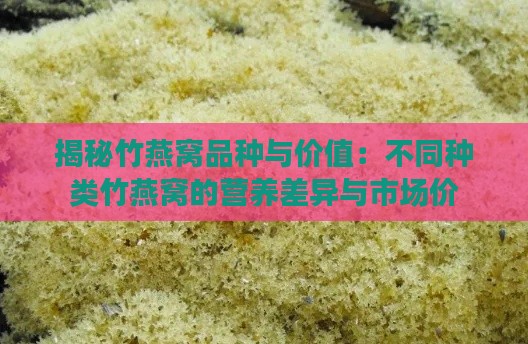 揭秘竹燕窝品种与价值：不同种类竹燕窝的营养差异与市场价位解析