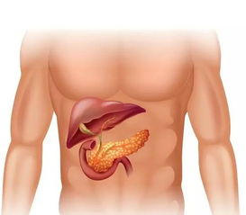 深入了解：肺结节患者能否食用燕窝及其影响解析