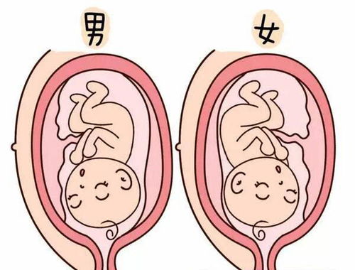 深入了解：肺结节患者能否食用燕窝及其影响解析