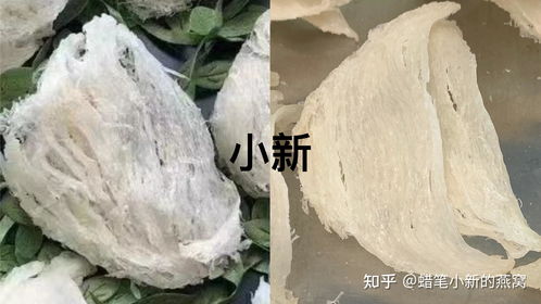 燕窝挑毛到什么程度更好