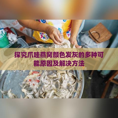 探究爪哇燕窝颜色发灰的多种可能原因及解决方法