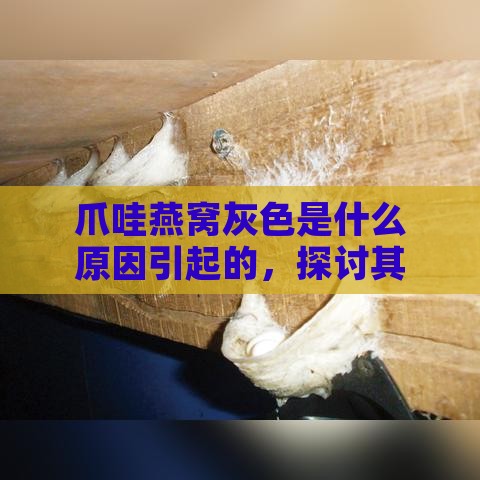 爪哇燕窝灰色是什么原因引起的，探讨其颜色成因之谜