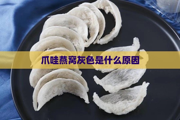 爪哇燕窝灰色是什么原因