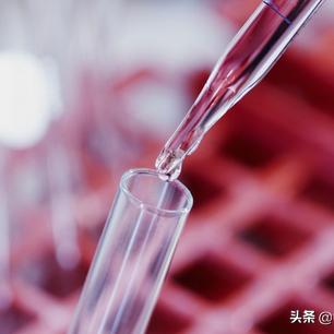 燕窝酸的营养价值：全面解析其对健康与美容的益处及适用人群