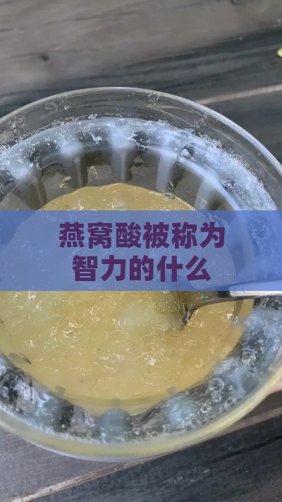 燕窝酸被称为智力的什么