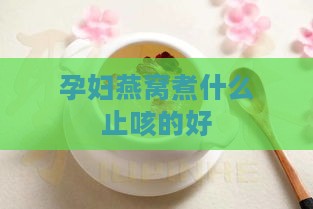 孕妇燕窝煮什么止咳的好