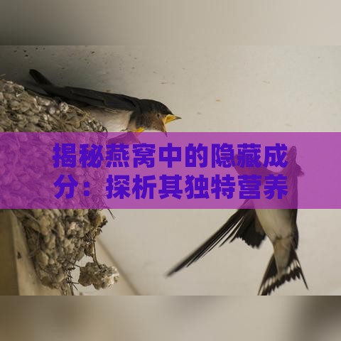 揭秘燕窝中的隐藏成分：探析其独特营养价值