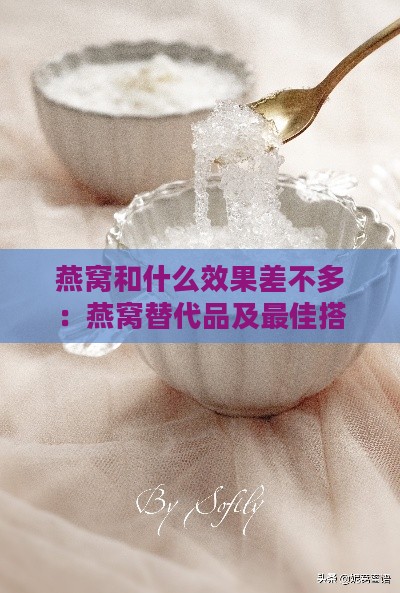 燕窝和什么效果差不多：燕窝替代品及更佳搭配食物探究