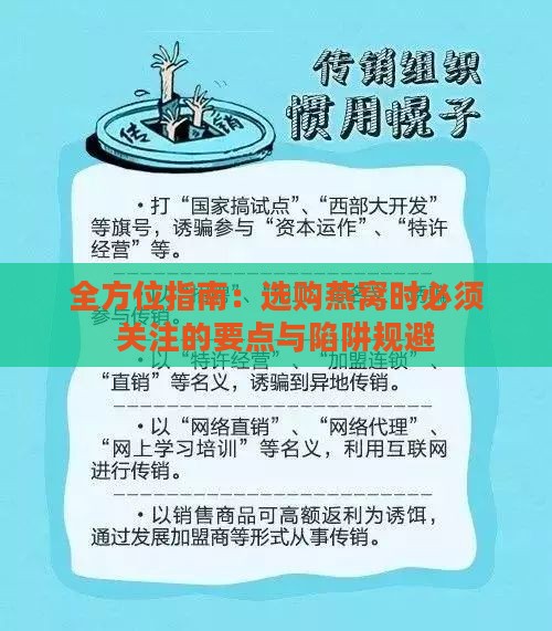 全方位指南：选购燕窝时必须关注的要点与陷阱规避