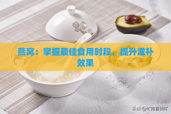 燕窝：掌握更佳食用时段，提升滋补效果