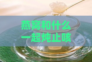 燕窝和什么一起炖止咳：润肺化痰效果更佳组合推荐