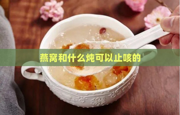 燕窝和什么炖可以止咳的