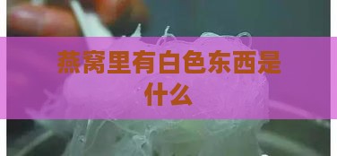 燕窝里有白色东西是什么