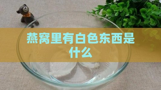 燕窝里有白色东西是什么