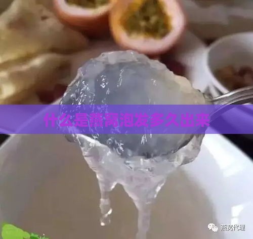 什么是燕窝泡发多久出来