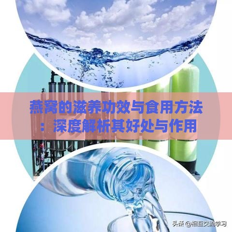 燕窝的滋养功效与食用方法：深度解析其好处与作用