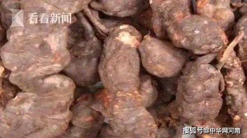 燕窝搭配哪些食材能强化补肾虚血功效