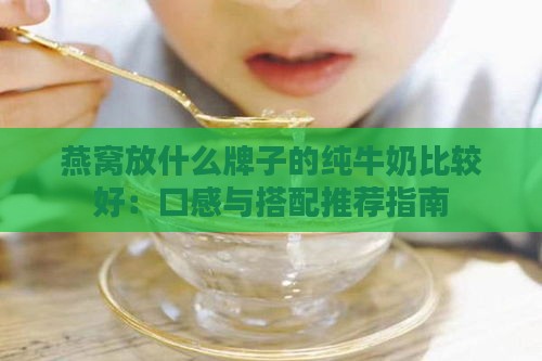 燕窝放什么牌子的纯牛奶比较好：口感与搭配推荐指南