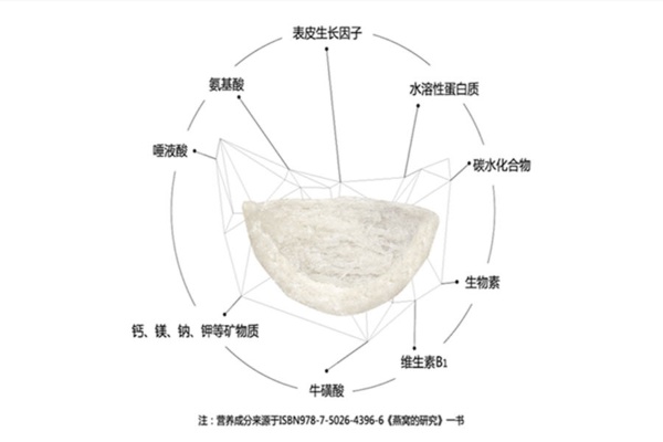 燕窝是什么成分组成及作用，如何制成