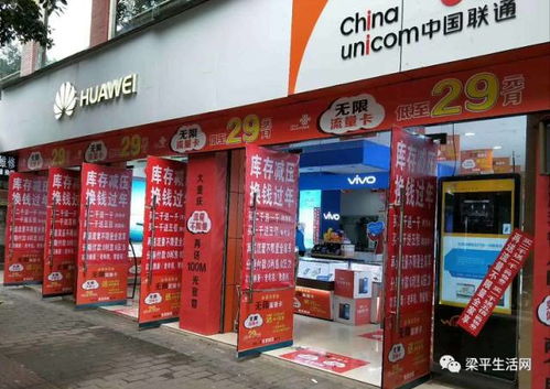 哪里可以购买正品燕窝：全面指南，探寻线上线下优质燕窝店铺