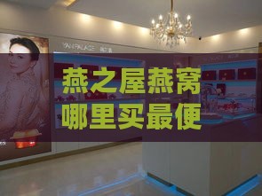 燕之屋燕窝哪里买更便宜及实体店价格表，旗舰店真假辨别与购买地点汇总