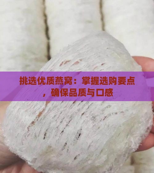 挑选优质燕窝：掌握选购要点，确保品质与口感