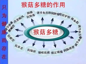 揭秘燕窝多糖体的神奇作用：增强免疫与多种保健功效