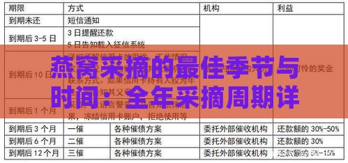 燕窝采摘的更佳季节与时间：全年采摘周期详解及影响因素