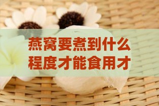 燕窝要煮到什么程度才能食用才算熟透与合适