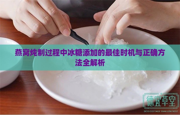 燕窝炖制过程中冰糖添加的更佳时机与正确方法全解析