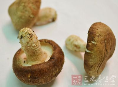 全面解析：山洞燕窝的营养价值、功效、作用及食用方法