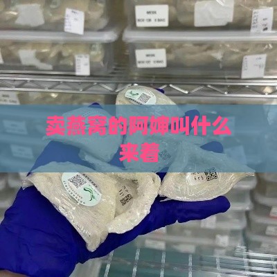 卖燕窝的阿婶叫什么来着