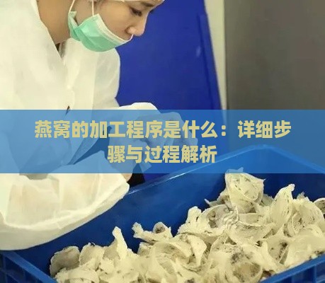 燕窝的加工程序是什么：详细步骤与过程解析