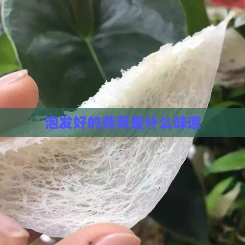 泡发好的燕窝是什么味道