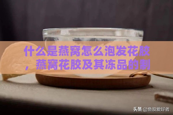 什么是燕窝怎么泡发花胶，燕窝花胶及其冻品的制作方法详解