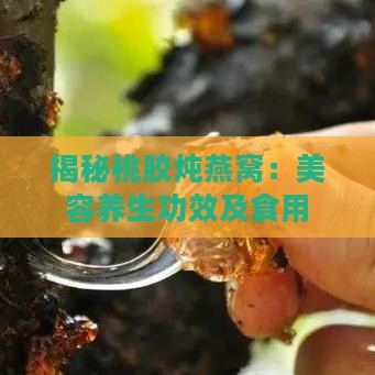 揭秘桃胶炖燕窝：美容养生功效及食用注意事项