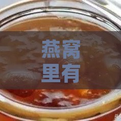 燕窝里有什么材料做成的