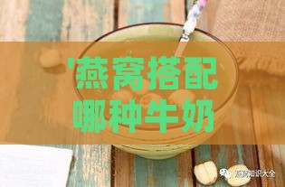 '燕窝搭配哪种牛奶炖煮更美味：美味炖煮新选择'