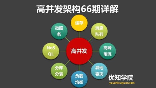 全面解析：人参加燕窝的多种功效与作用，深入探讨其健康益处