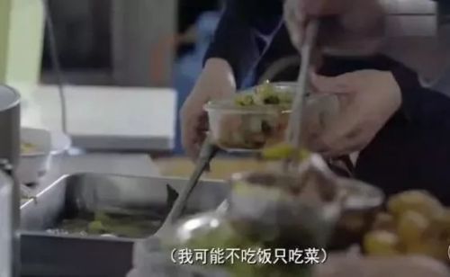 揭秘小燕窝原名：探寻名字背后的故事与含义