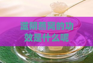 滋阴燕窝的功效是什么呢