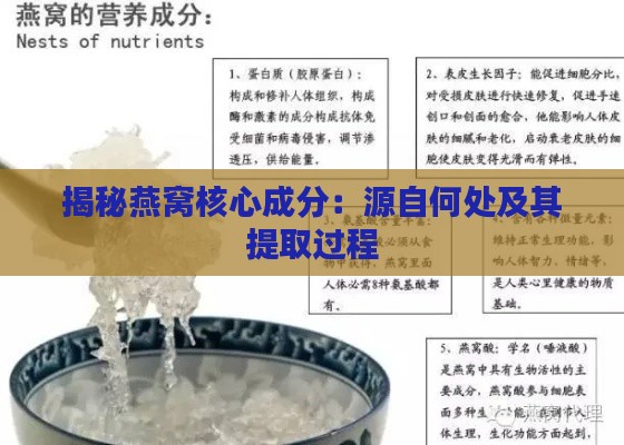 揭秘燕窝核心成分：源自何处及其提取过程