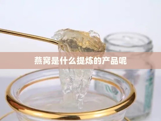 燕窝是什么提炼的产品呢