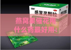 燕窝果催花用什么药更好用：探讨高效催花药剂选择与应用方法