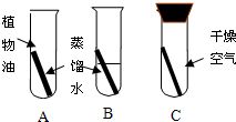 '探究燕窝中钠元素的化学成分与营养价值'